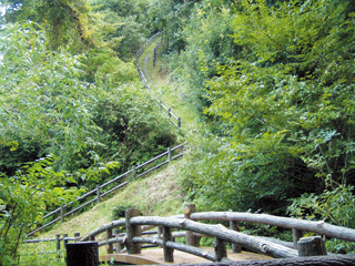 Mt. Dainichi walking path