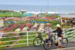 サイクリング　くるくる車ららん（千倉の白間津花畑にて）