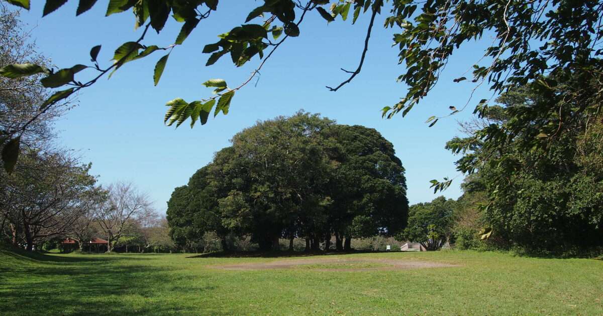 大房岬自然公園
