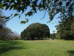 大房岬自然公園