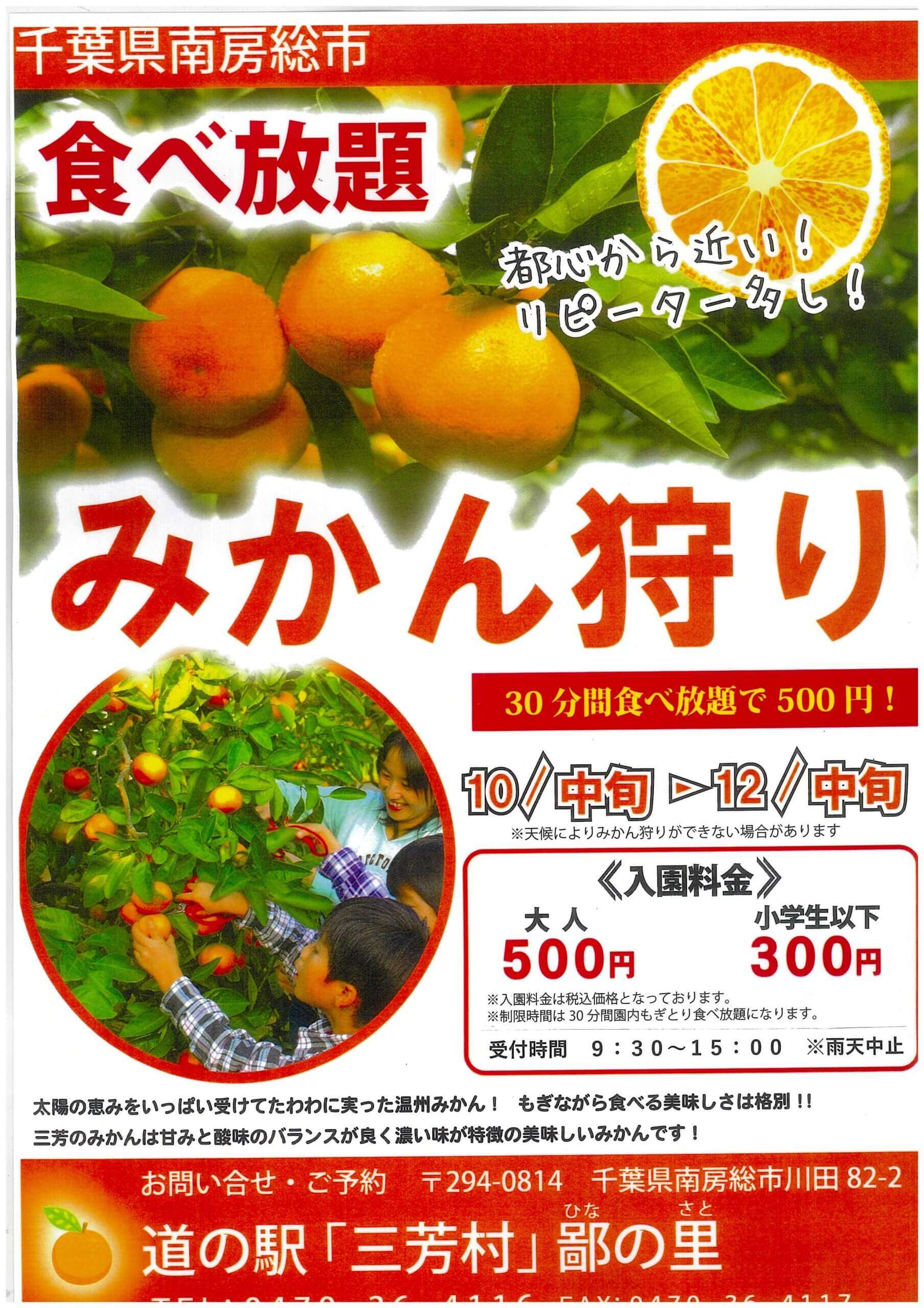 みかん狩り 10月19日～スタート｜南房総いいとこどり