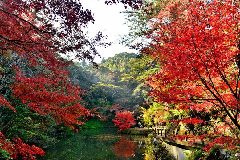 小松寺の紅葉