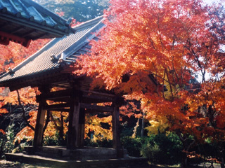 Komatsuji Temple