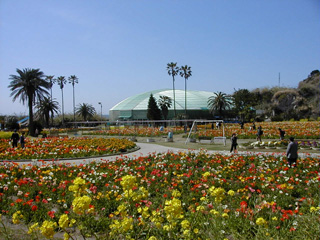 Shirahama Flower Park