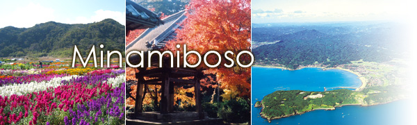 Minamiboso Guide