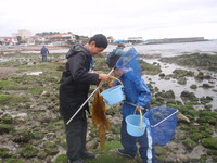 3/21(土)　お試し企画　「漁師体験　海藻収穫をしよう！」