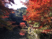 小松寺の紅葉状況