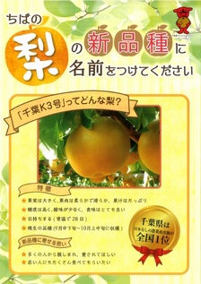 千葉の梨の新品種の愛称募集！