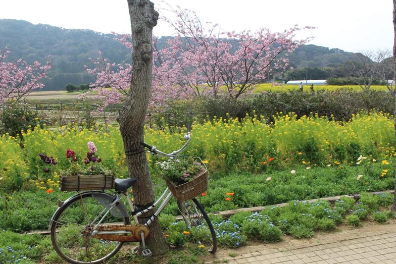 花いっぱいの自転車